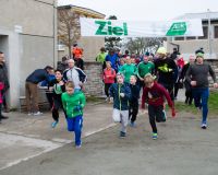 Gaensebratenlauf_2015_04