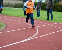 Gaensebratenlauf_2015_51